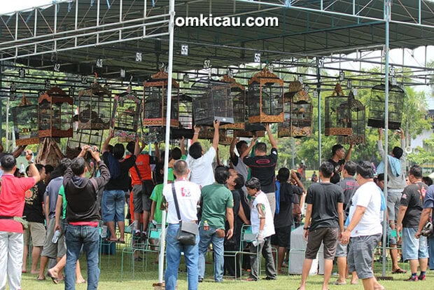 Lomba burung berkicau Danjen Kopassus Cup 2015