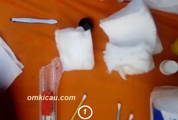 Mengatasi benjolan pada burung