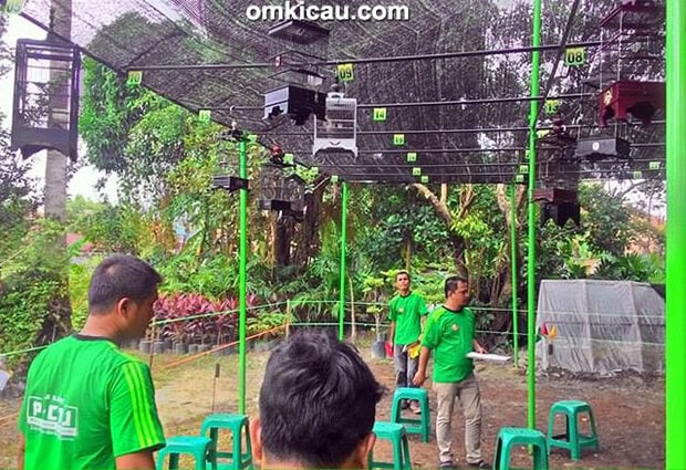 Launching P-CMJ Jambi