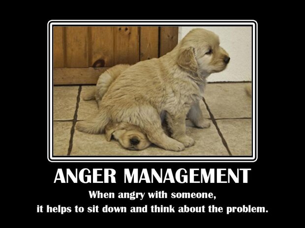 Funny And Witty Anger Quotes Volganga The irresistible pairing of jack nicholson and adam sandler is the best reason to see anger management, a comedy that might loosely be called the funny and the furious. funny and witty anger quotes volganga
