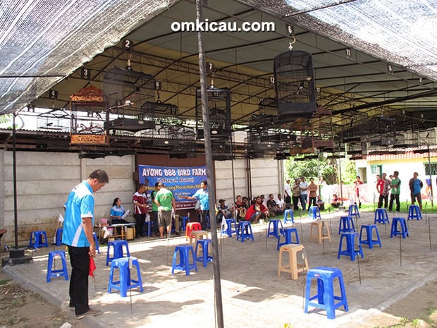 lomba burung berkicau Sakti Bird III Jambi