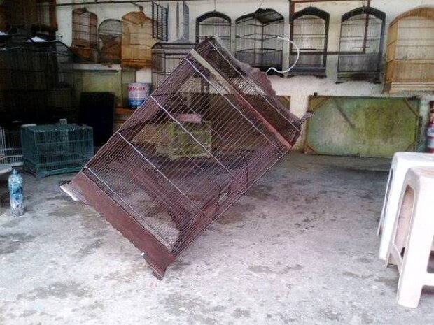 Uji presisi sangkar kohsan