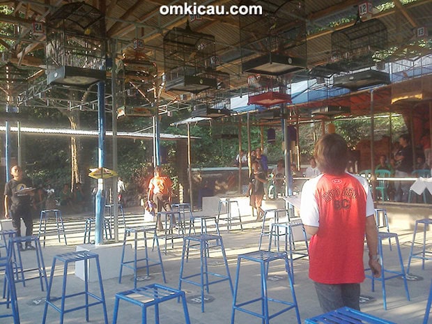 Suasana lomba kelas kenari