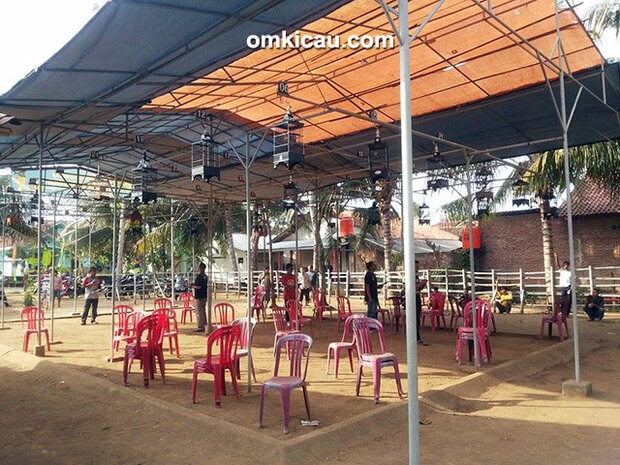 Kontes pleci Cilacap Bersatu