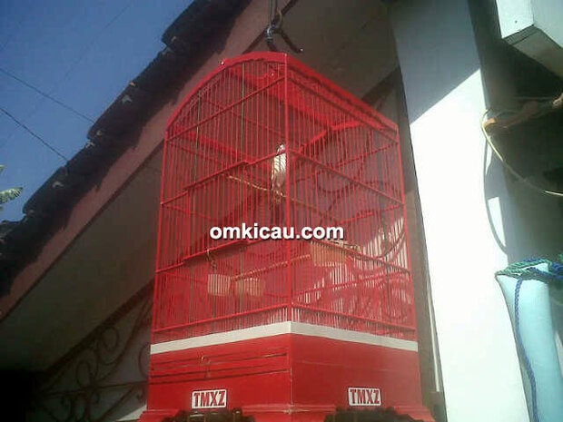 Cendet Rock Speed sedang dijemur