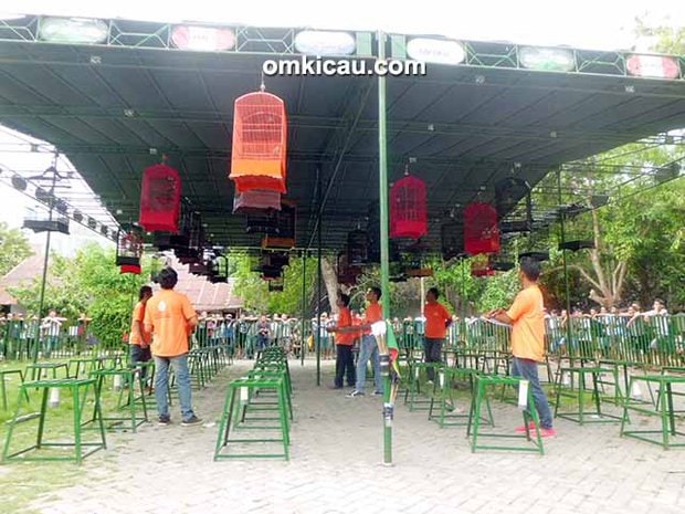 Lomba burung 1st Anniversary MJB Jombang