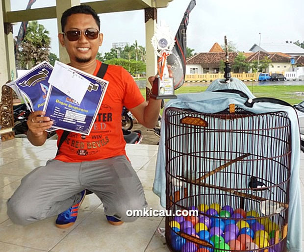 Om Juno dan kacer DM7