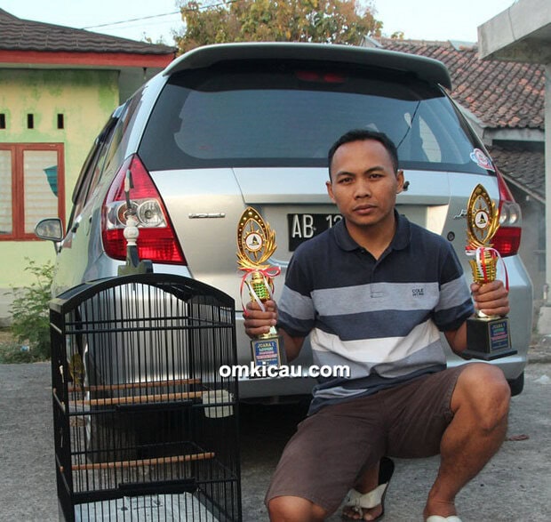 Om Tri dan kenari Sulaiman