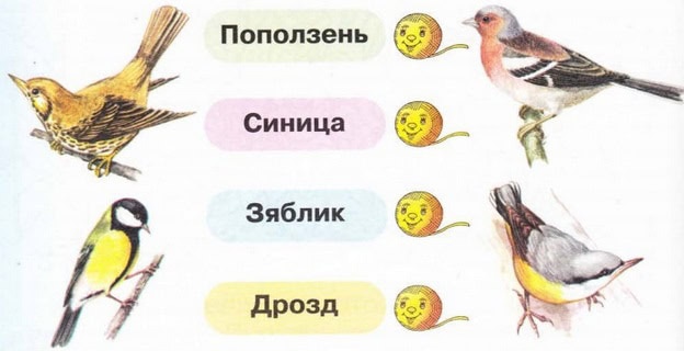 Gdz Po Okruzhayushemu Miru 1 Klass Rabochaya Tetrad 2 Chast