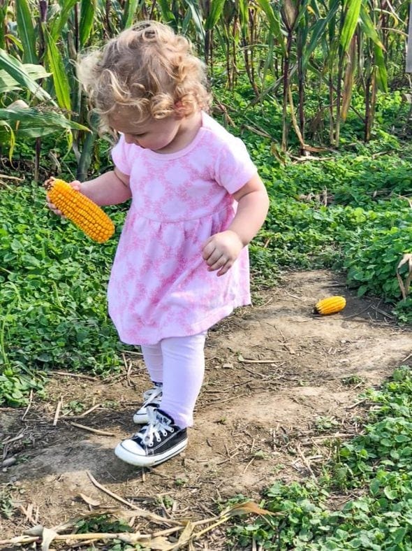 toddler in Converse