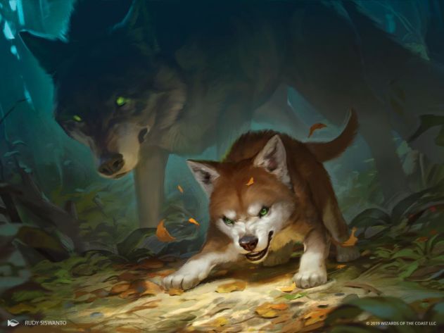 M20-draft-guide-Ferocius-Pup