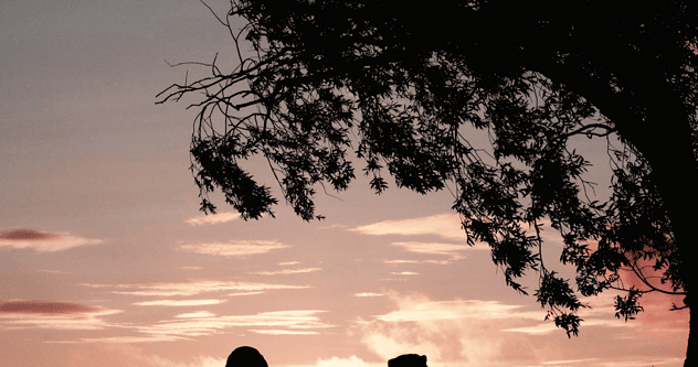 Get the Most Out of Your Retirement Savings with 401(k) Matching Contributions
