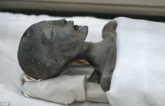 Nefertiti giovane signora