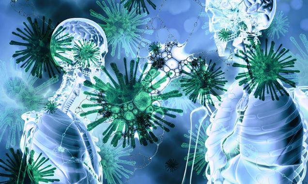 Coronavirus Reinfection