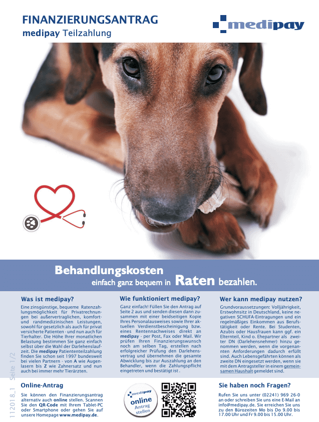 Ratenzahlung Tierarzt Renchen