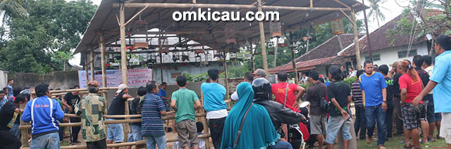 Lomba burung Jatisrono Berkicau Wonogiri