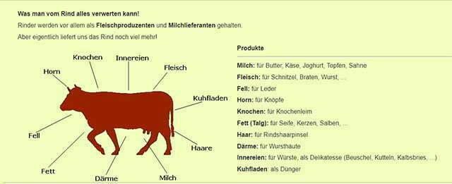 Was so alles aus einer Kuh gewonnen wird - Screenshot schema.at