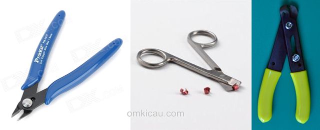 melepas ring di kaki burung melepas ring di kaki burung