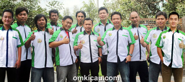 Luwes BC Solo