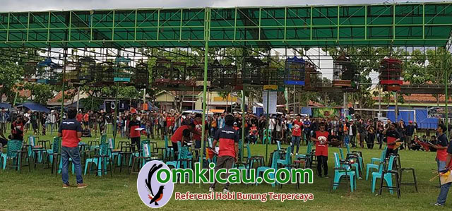 Piala Cobra