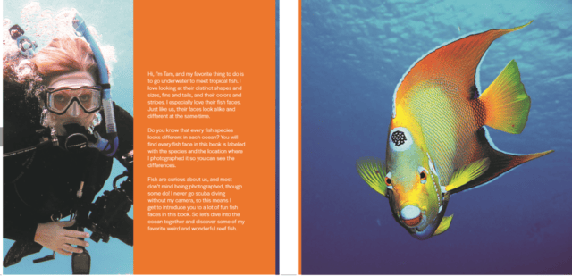 2nd edition of all fish faces, all fish faces, new 2nd edition, new 2nd edition all fish faces