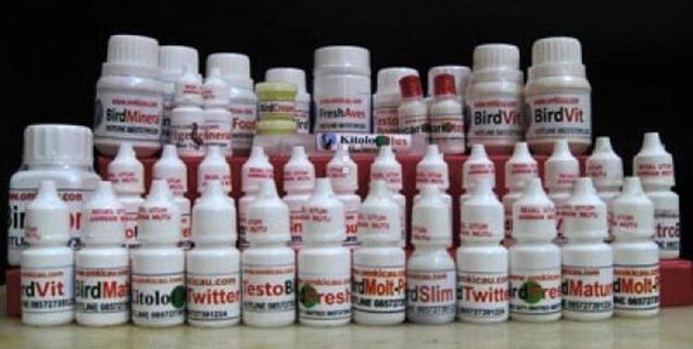 Testobird Booster untuk burung ciblek