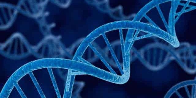 dna-wave-x