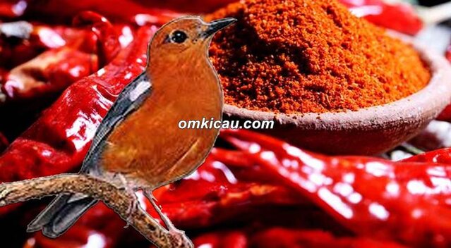 Anis merah macet bunyi