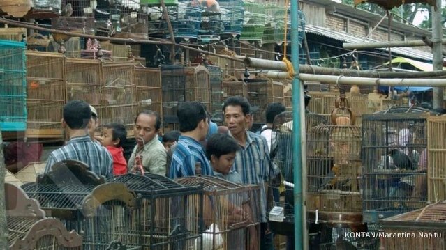 Pasar burung