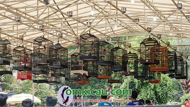 Latber A2 Taman Merdeka