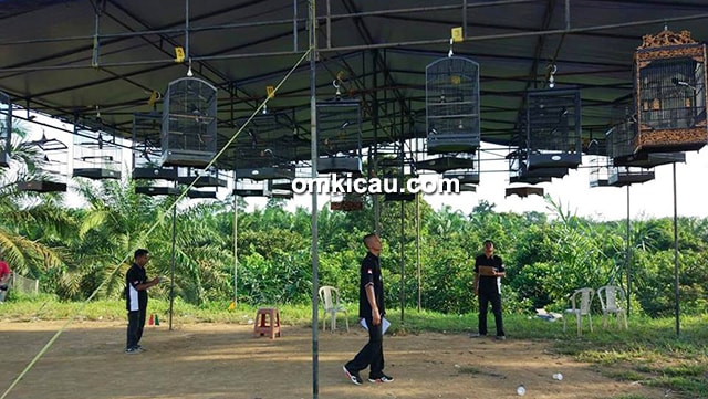 BnR DPC Dharmasraya BnR DPC Dharmasraya