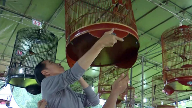 Piala Presiden Jokowi Piala Presiden Jokowi
