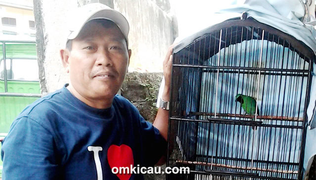 Cak Sari dan cucak hijau Bonex
