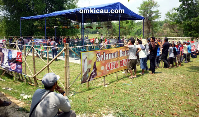 Lomba Burung Gagak Rimang BC