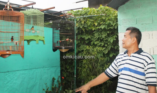 Arif Sangkar Bird Shop