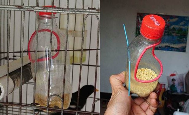 Bisa digunakan sebagai tempat pakan atau tempat minum burung