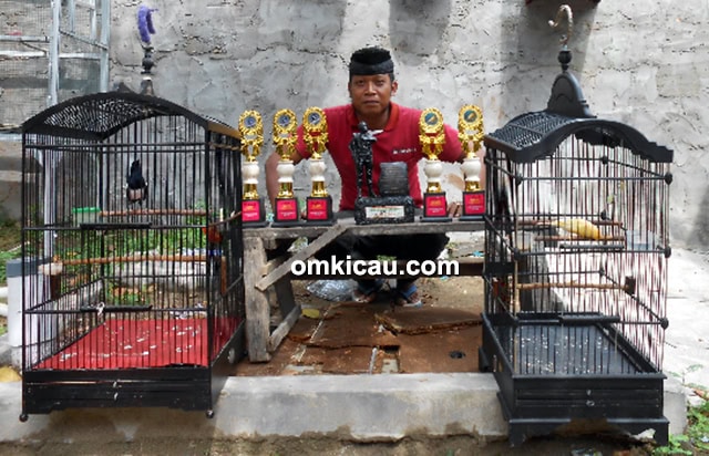 Om Tole selalu dan kacer Senpi