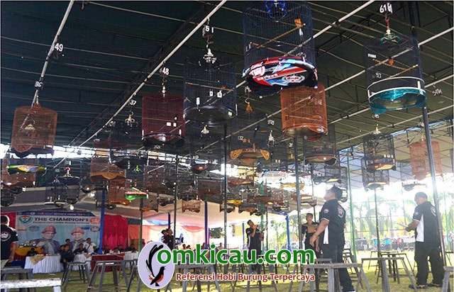 hasil lomba burung