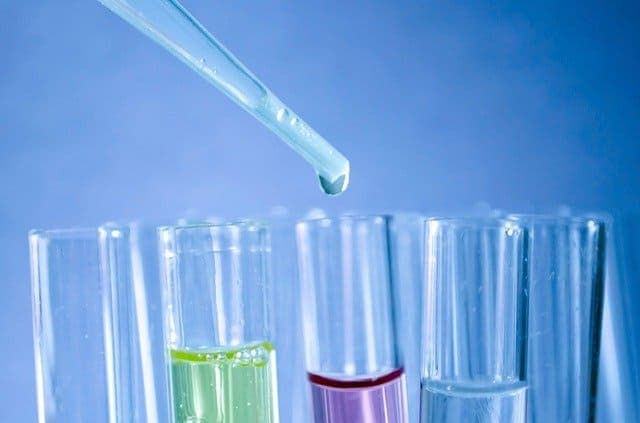test di provocazione al nichel in doppio cieco controllato con placebo