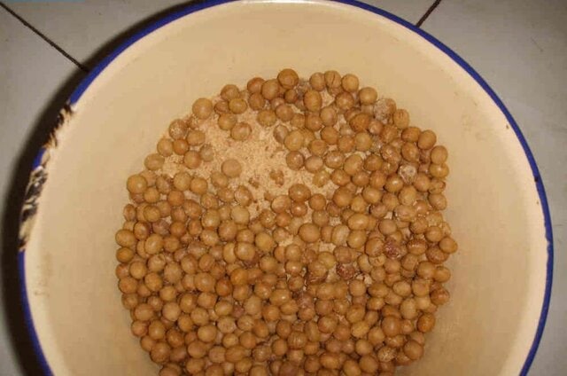 Kacang kedelai