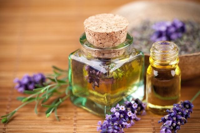lavendeloel Lavendel gehört zu Gattung der Lippenblütler und ist in der Aromatherapie sehr beliebt und verbreitet.