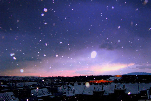 wienschnee