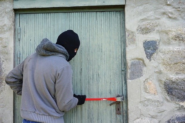 Tierschutzbüro zahlt 1.800 € für Einbrecher