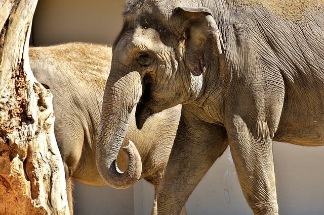 EndZOO - Die Unfähigkeit geht weiter (4)