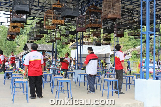 Arena Lomba Burung Polder Air Hitam Samarinda