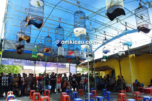 Satu Hati Cup II Satu Hati Cup II