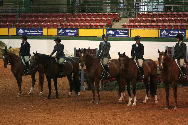 This ring. Come back to my life Hunt Horse Complex!