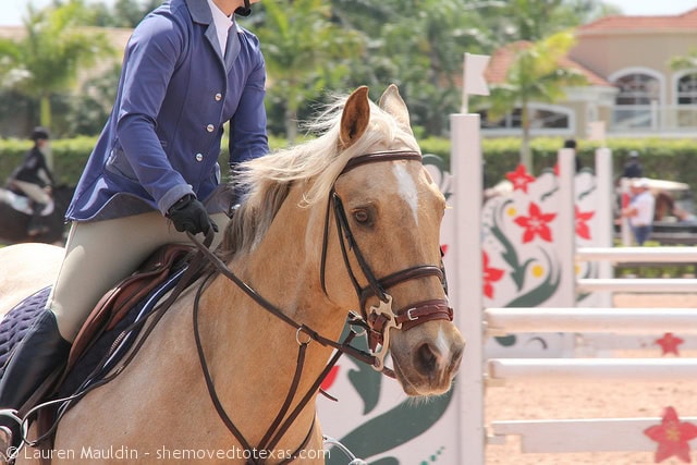 Love this french blue with the palomino jumper.