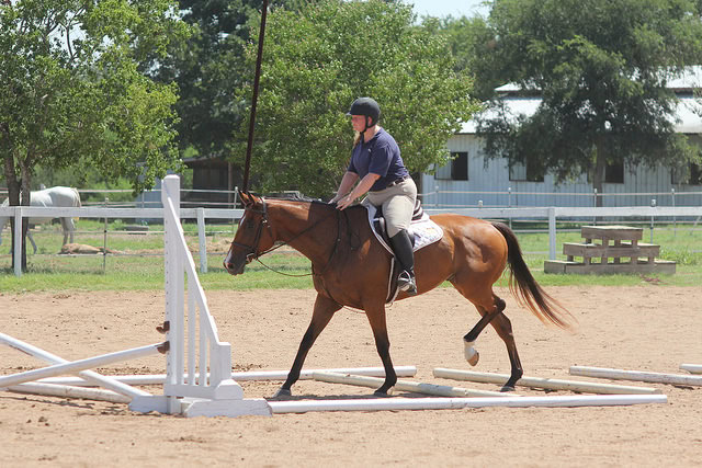 Not made for cantering.