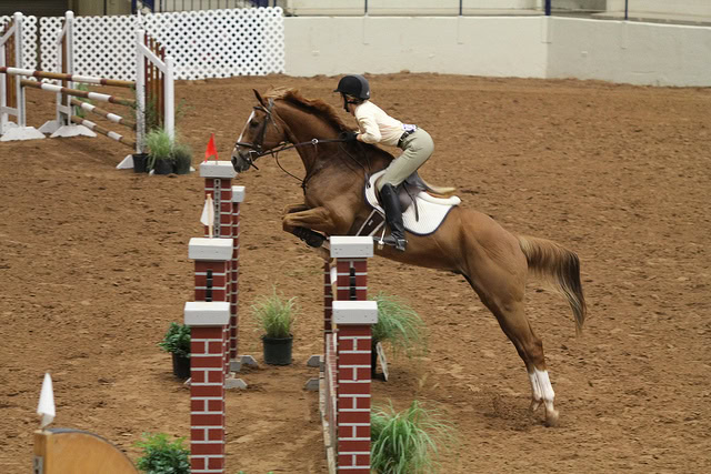 Gio, OTTB